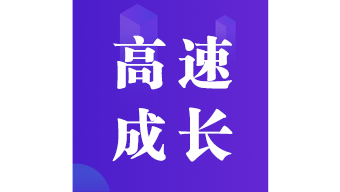 2006中国制造业信息化高速成长企业